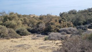 2023-GC-Dunas_Maspalomas-144.jpg